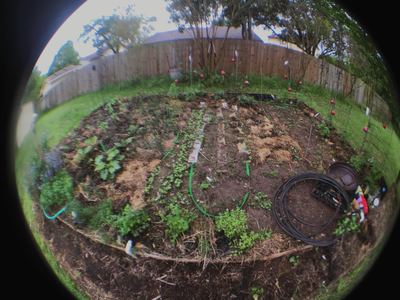 IMG_0863.gif