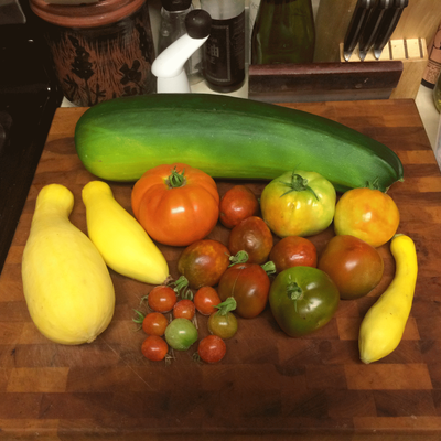 IMG_1134.gif
