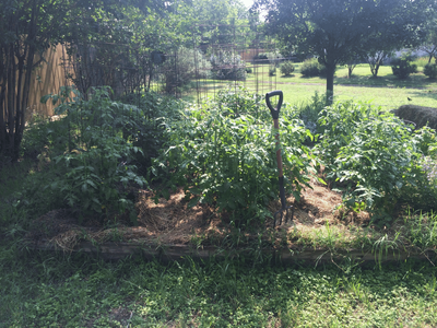 IMG_4546.gif