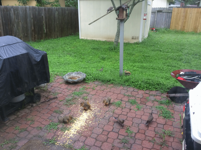 IMG_4600.gif