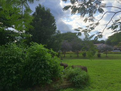 IMG_4699.gif