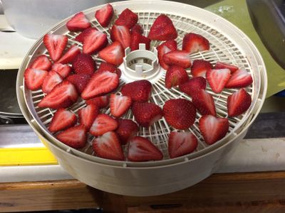 dehydrator