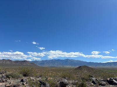 IMG_1647.JPEG