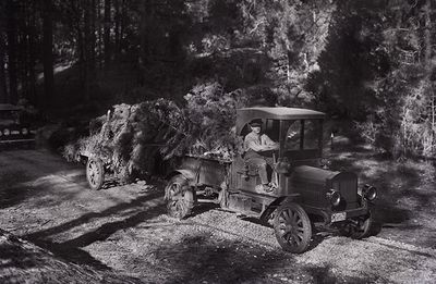 2024 5210 Stockton Record Xmas Tree Delivery_sm.jpg
