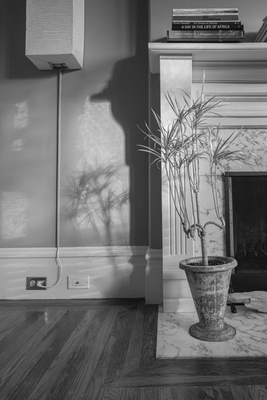 L1000928.jpg