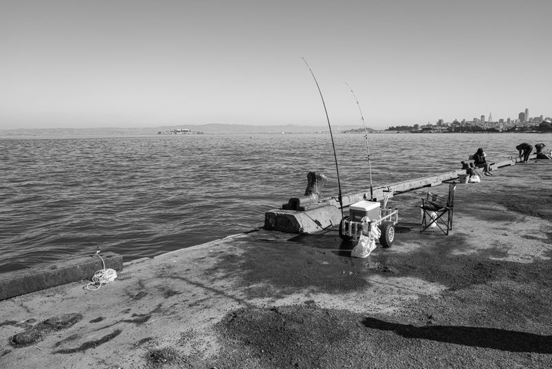 L1000940.jpg