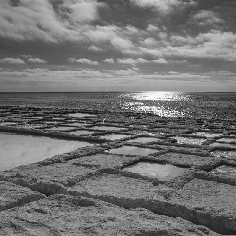 L1001030.jpg