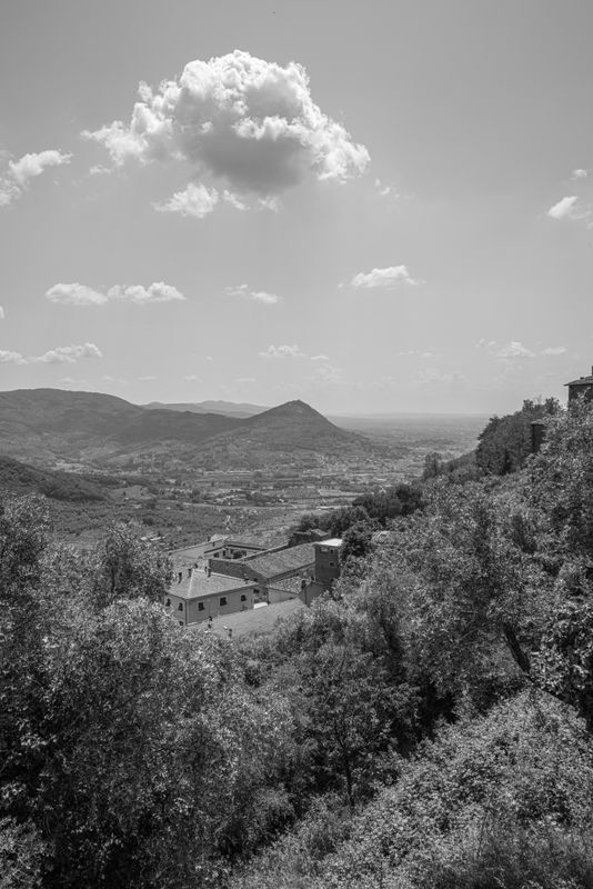 L1000230.jpg