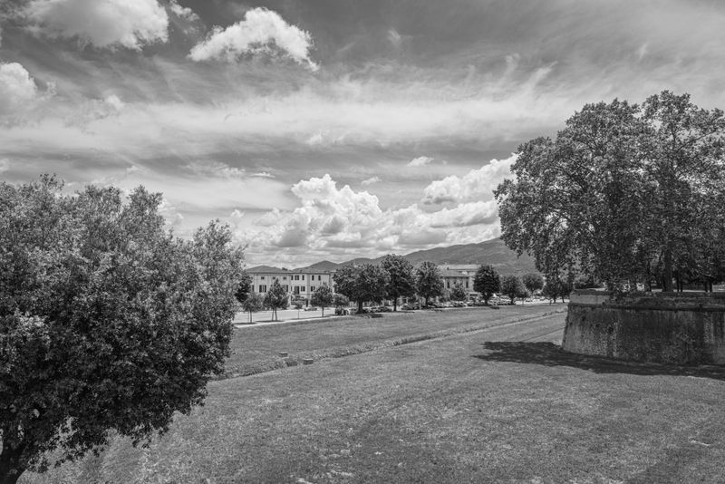 L1000318.jpg