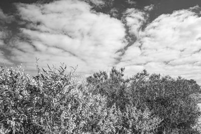 g13/38/601138/3/173478951.6664e4e5.JPEG