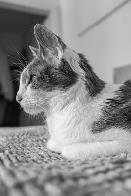 g13/38/601138/3/173739171.264a710a.JPEG