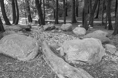 g13/38/601138/3/173922743.827fd231.JPEG