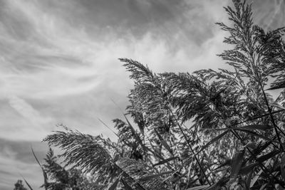 g13/38/601138/3/173947868.c6fd46d3.JPEG