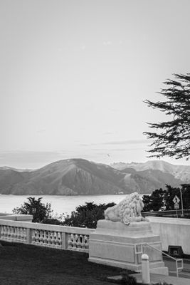 g13/38/601138/3/174245390.2faa66d1.JPEG