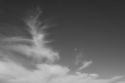 g13/38/601138/3/174487946.87ad8156.JPEG