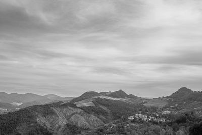 Black and White Portfolio