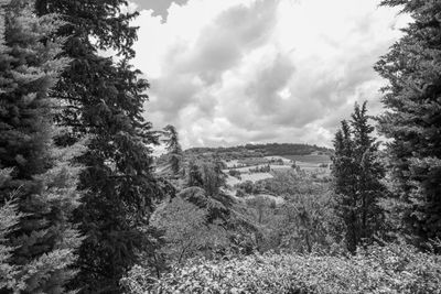 g13/38/601138/3/174669230.ef4410d5.JPEG