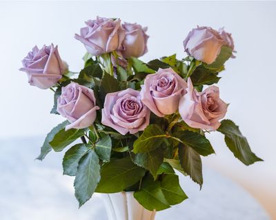 g13/38/601138/3/174940926.ca037be3.JPEG