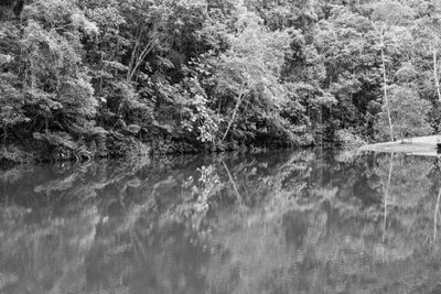 g13/38/601138/3/175224256.e233e093.JPEG