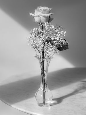 g13/38/601138/3/175248497.5e5e76f6.JPEG