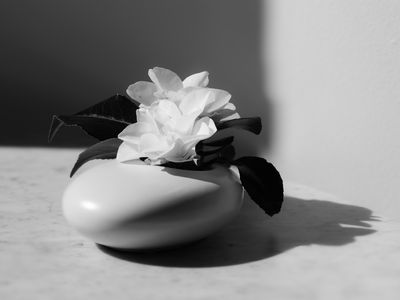 g13/38/601138/3/175284713.29d8d45e.JPEG