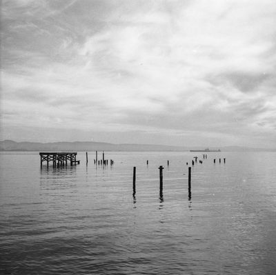 g13/38/601138/3/175288232.f4e46331.JPEG