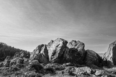 g13/38/601138/3/175355161.37df84ca.JPEG