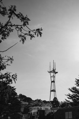 g13/38/601138/3/175355163.85ba96d5.JPEG