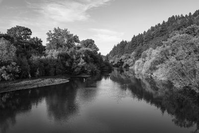 Black and White Portfolio