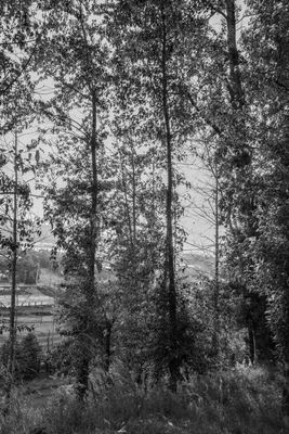 g13/38/601138/3/175531604.dcc1e0a4.JPEG