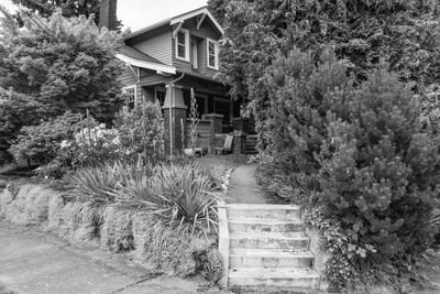 g13/38/601138/3/175540381.a531e12f.JPEG