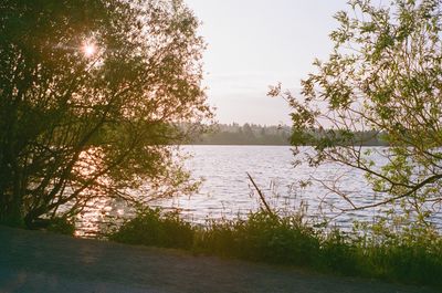 g13/38/601138/3/175553655.4548e4d0.JPEG