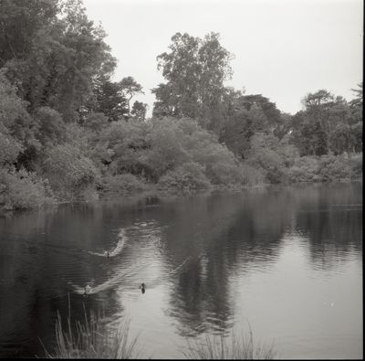 g13/38/601138/3/175556734.66af2d80.JPEG