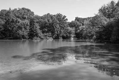 20250722-L1003047.jpg