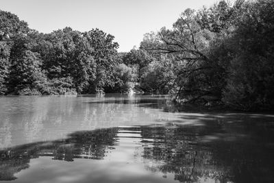 20250722-L1003054.jpg