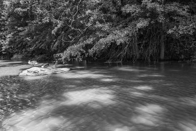 20250722-L1003059.jpg