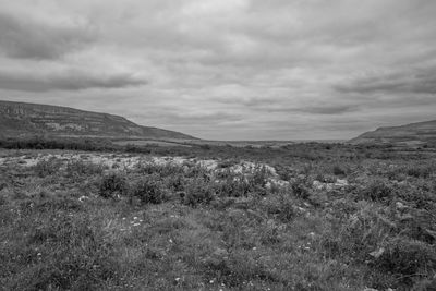 g13/38/601138/3/175721964.c47159ba.JPEG