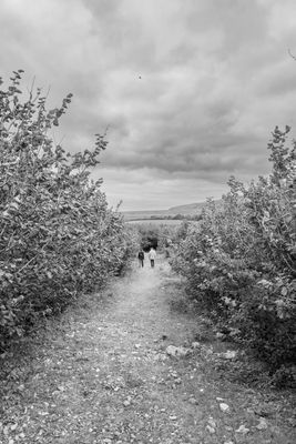 g13/38/601138/3/175721971.f9ef5d45.JPEG