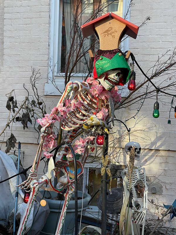 Its still Christmas here