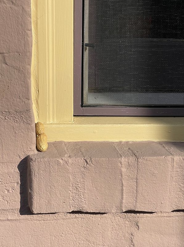 The secret hiding place