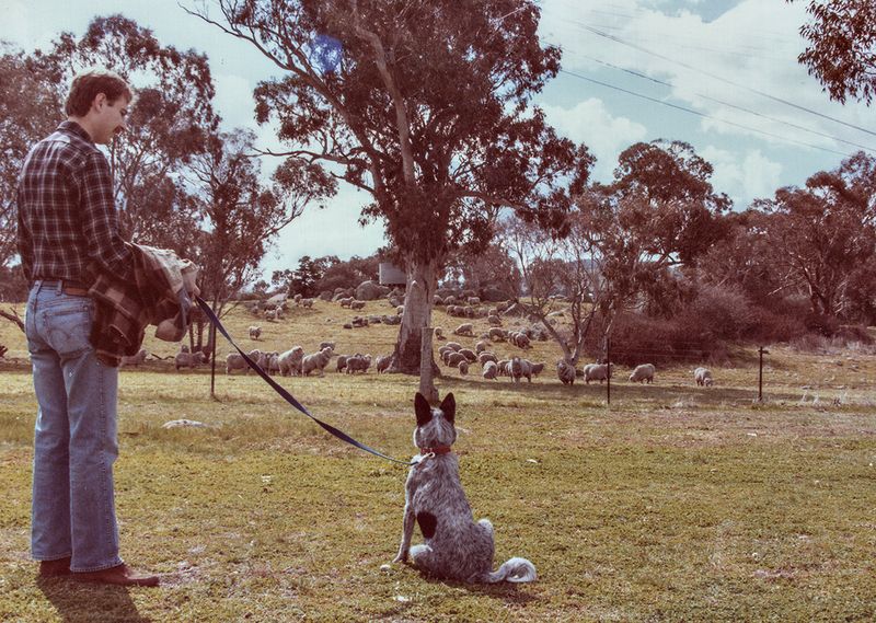 Contemplating her heritage