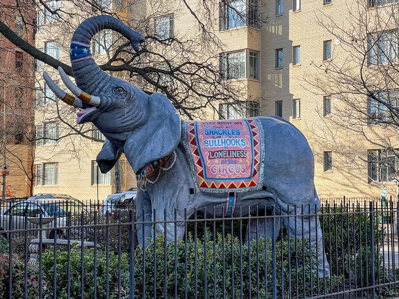 Shackles, bullhooks, loneliness at the circus