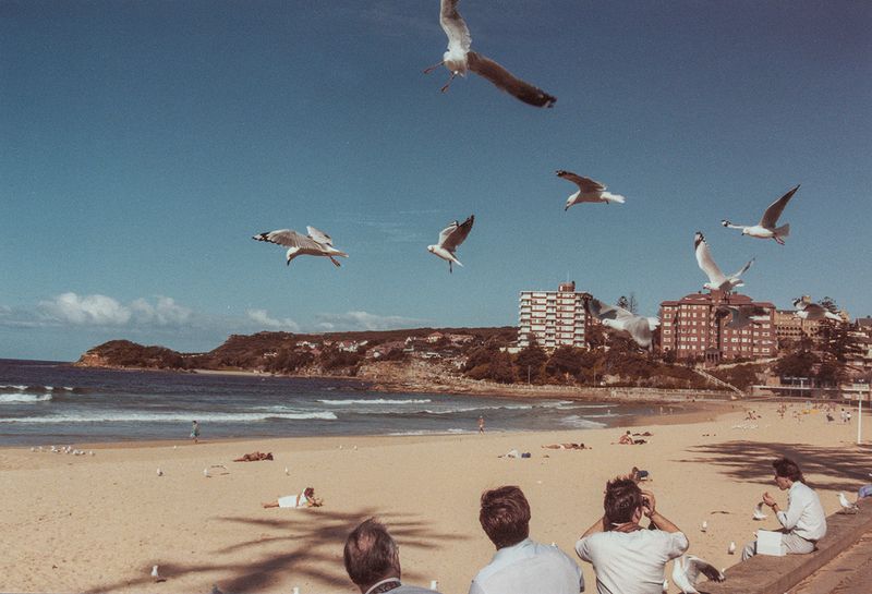 Manley Beach, Sydney