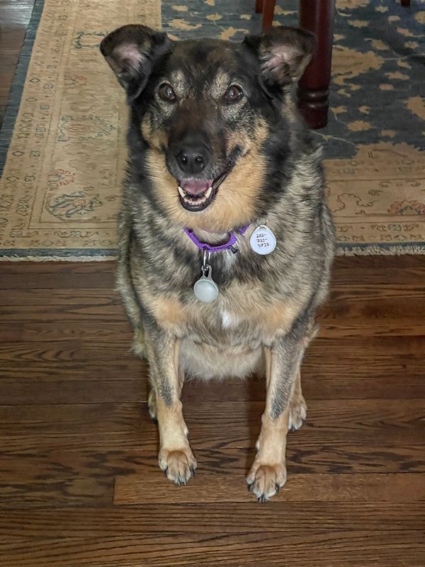 She has ears!