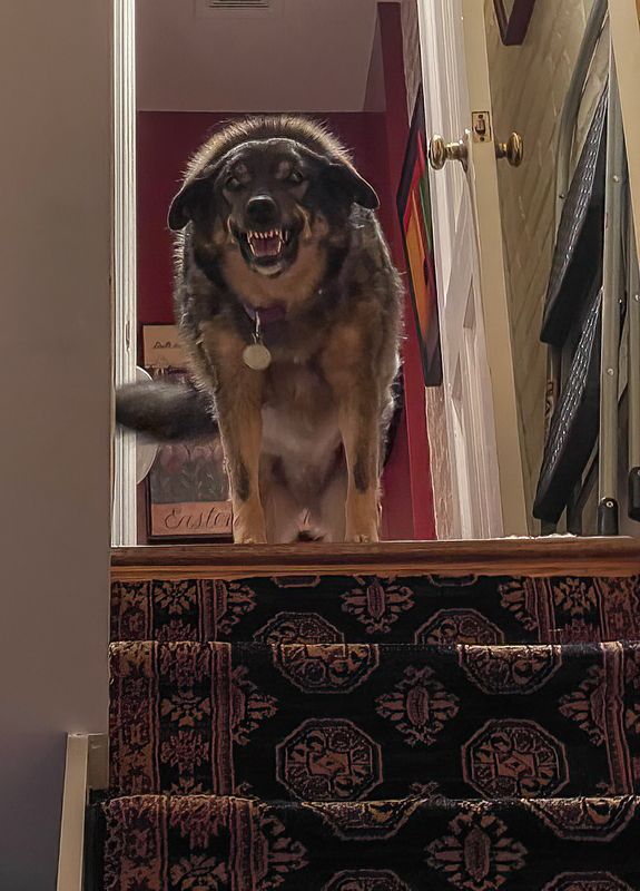 Queenie smiling