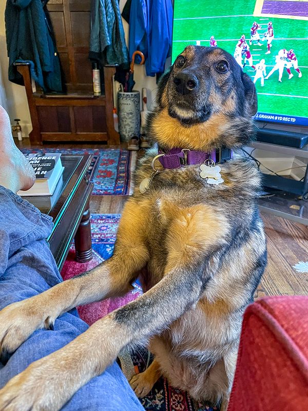 Still trying to watch the football game