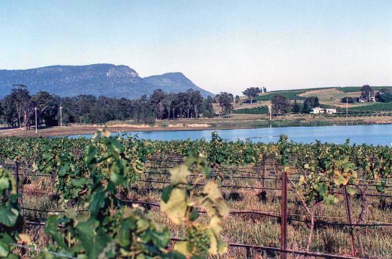 Hungerford Hill Winery, NSW