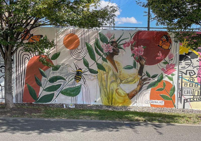 NoMa in Color mural