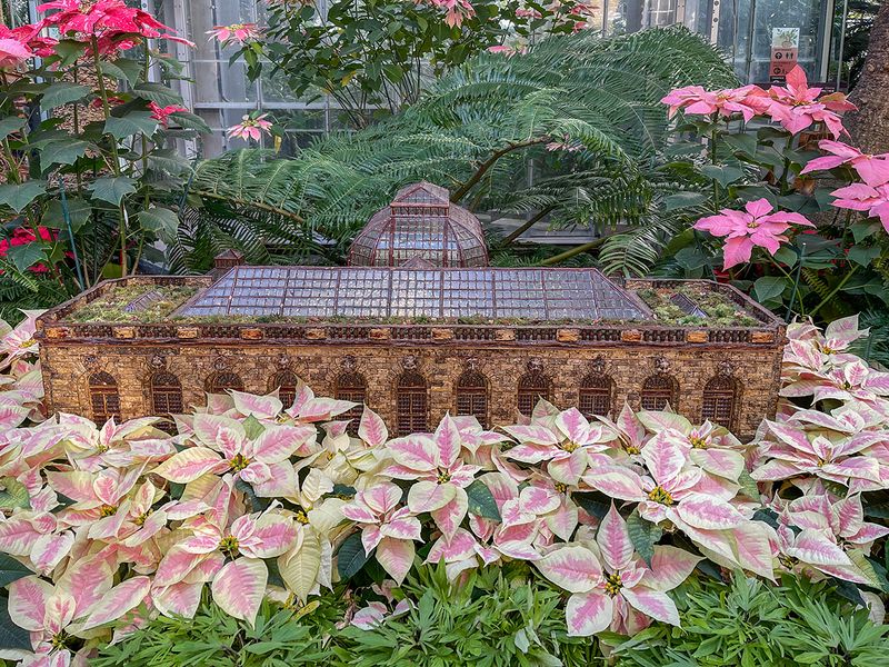 U.S. Botanic Garden conservatory