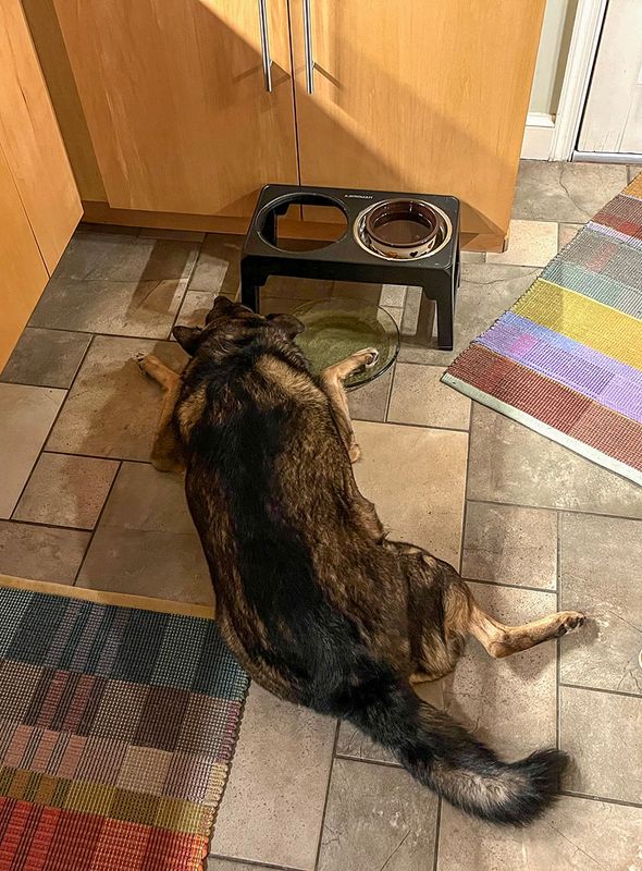 Just cant let go of that plate